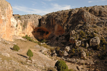 Alac�n