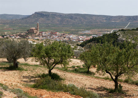 Alloza