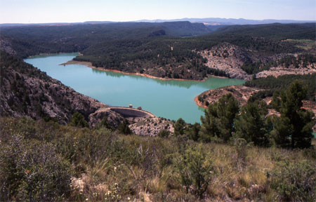 Alloza