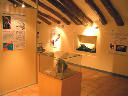 Centro de Interpretaci�n Paleontolog�a