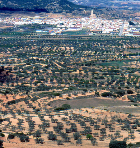 Ruta Gastron�mica