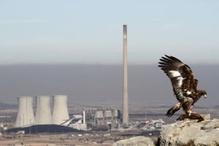 El andorrano Jonathan D�az Marb� ganador en el certamen Foto Aves 2014 organizado por SEO Birdlife