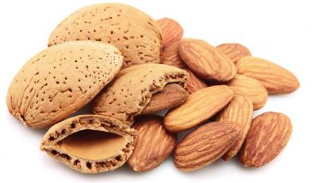 La recogida de la almendra en Alloza en 