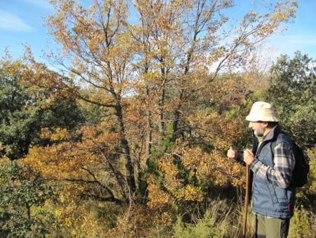 A mediados de Diciembre se clausur�n los Jornadas LA VIDA EN NUESTROS BOSQUES