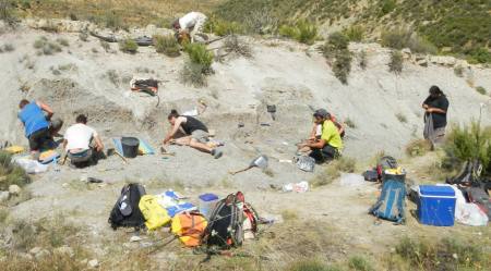 Encontrado en Estercuel un nuevo yacimiento de dinosaurios. Nota del Grupo ARAGOSAURUS.